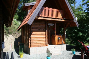 Seoski Turizam Feniks - apartman Ostrog